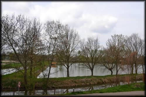 Penzion U Kohoutka Pardubice Kültér fotó
